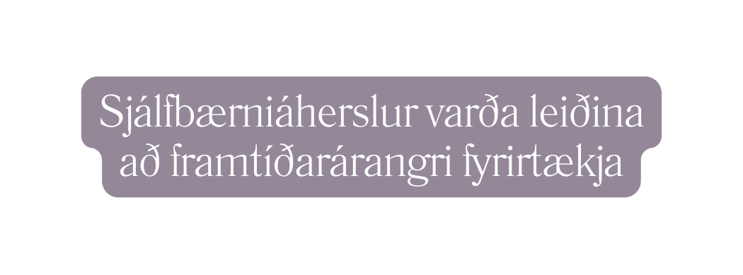 Sjálfbærniáherslur varða leiðina að framtíðarárangri fyrirtækja
